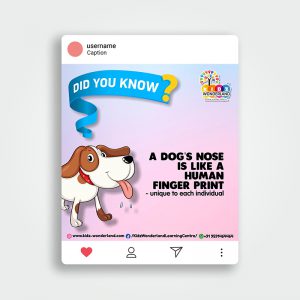 Instagram and Facebook posts designed by Prodigious Design Studio. #bestgraphicdesigncompany #graphicdesignerforschool #schoolflyerdesigning #schoolflyers #schoolbrochure #graphicdesignernearme #graphicdesigncompanynearme #portfolio #instagramposts #facebookposts